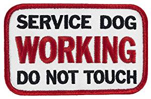 Amazon.com: SERVICE DOG WORKING DO NOT TOUCH Sew-On ...