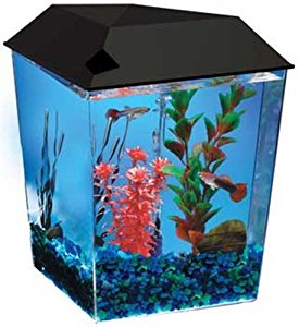 Amazon.com : KollerCraft Aquarius Aquarium Kit, 1-Gallon ...