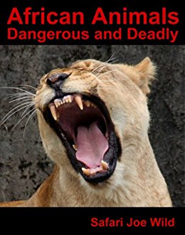 African Animals (Dangerous Lions, Tigers & Leopards and ...