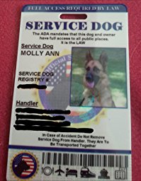Amazon.com: Customer Reviews: Holographic Service Dog ID ...