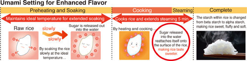 Amazon.com: Zojirushi Induction Heating Pressure Rice ...
