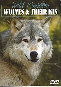 Amazon.com: BBC Wild Kingdom Wolves & Their Kin: coyotes ...