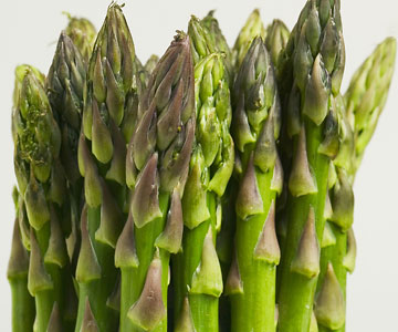 Asparagus and Tom cats – why does my pee smell?