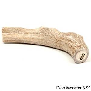 Pet Supplies : Texas Whitetail Deer Antler Dog Chew Buy ...