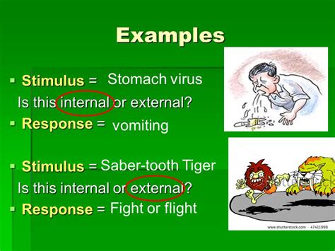 Stimulus & Response TEKS 7.13B describe and relate ...