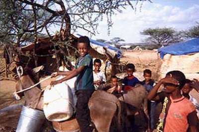 Life in Eritrea ~ Daily Life in Eritrea ~ Pro-Government ...