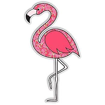 Amazon.com: Flamingo Sticker Pink Bird Decal By Megan J ...