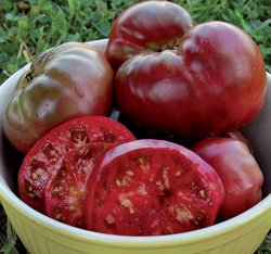 Amazon.com : Black Krim Tomato Seeds ORGANIC HEIRLOOM NON ...