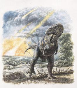How Did the Tyrannosaurus Rex become Extinct?