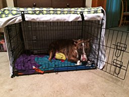 Amazon.com : Green Blue Swivel Dog Pet Wire Kennel Crate ...