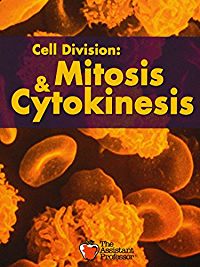 Amazon.com: Cell Division: Mitosis & Cytokinesis: Allied ...