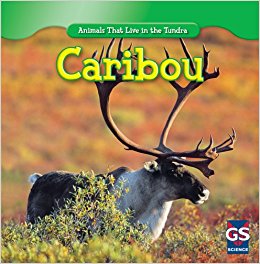 Caribou (Animals That Live in the Tundra): Roman Patrick ...