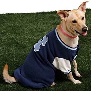 Amazon.com : College Varsity Dog Jacket Team: University ...