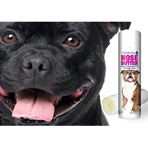 Amazon.com : The Blissful Dog Pit Bull Terrier Nose Butter ...