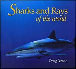 Sharks & Rays of the World: Doug Perrine: 9780896584488 ...