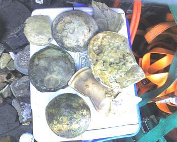 geodes found in coal vein also flint balls or nodules