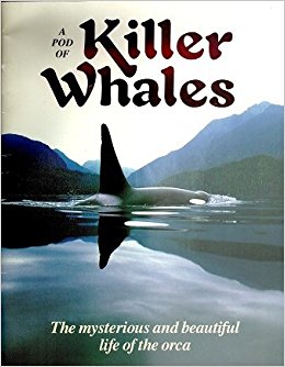 A Pod of Killer Whales: Jeff Foott: 9780918303165: Amazon ...