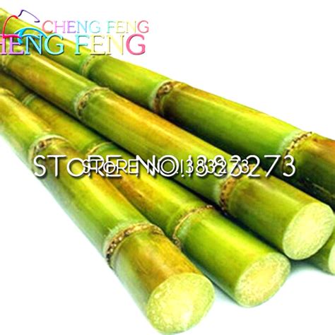Popular Sugar Cane Sugar-Buy Cheap Sugar Cane Sugar lots ...