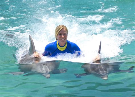 Swim with Dolphins Florida