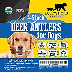 Amazon.com : Bullysticks Organic Deer Antler (4-5 inch 1 ...