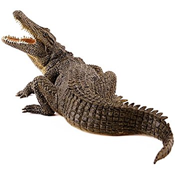 Amazon.com: Nile Crocodile: Toys & Games