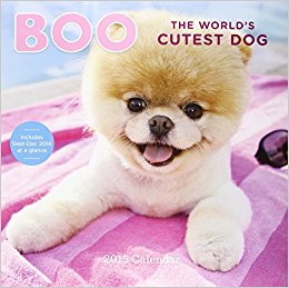 Boo The World's Cutest Dog 2015 Calendar: J.H. Lee ...