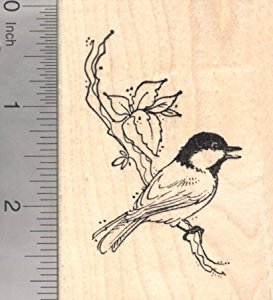 Amazon.com: Black-Capped Chickadee Bird Rubber Stamp ...
