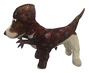 Amazon.com: Animal Planet PET20109 Raptor Dog Costume ...