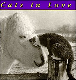 Cats In Love: Jean-Claude Suares, Jane Martin ...