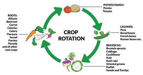 Four Crop Rotation Pictures to Pin on Pinterest - PinsDaddy