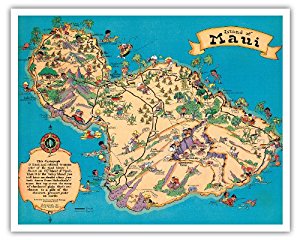 Amazon.com: Hawaiian Island Of Maui - Hawaii Tourist ...