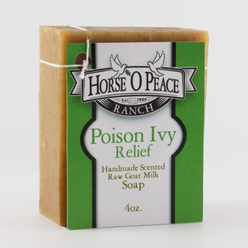 Handmade Herbal 100% Raw Goat Milk Poison Ivy Relief Soap ...