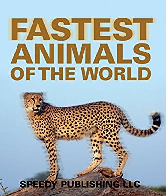 Fastest Animals Of The World: Super Fast Animals, Speedy ...