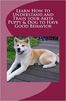 Learn How to Understand and Train your Akita Puppy & Dog ...