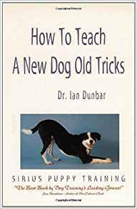 How to Teach a New Dog Old Tricks: The Sirius Puppy ...