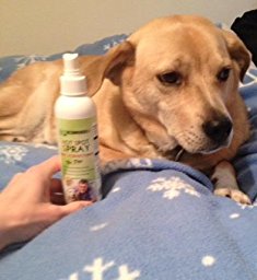 Amazon.com : Vet Recommended - Hot Spot Treatment For Dogs ...