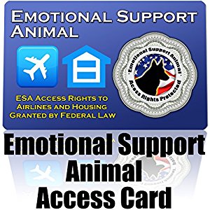 Pet Supplies : Emotional Support Animal ID Card - Protect ...