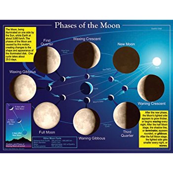 Amazon.com: Teacher Created Resources Solar System Chart ...