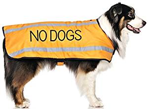 Amazon.com : NO DOGS Orange (Not Good With Other Dogs ...