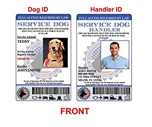 Amazon.com : XpressID Holographic Service Dog ID and ...