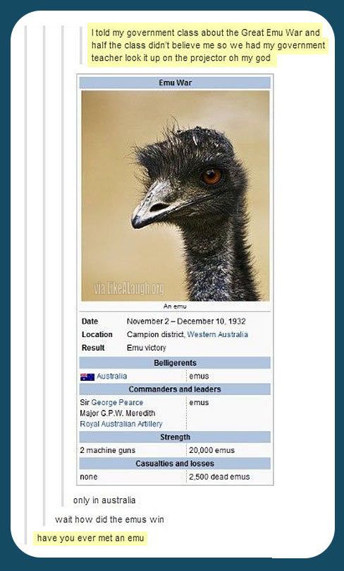 The Great Emu War | Funny | Pinterest