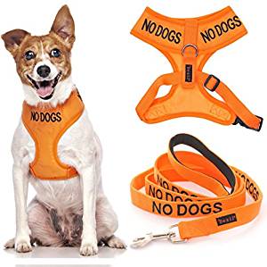 : Amazon.com: NO DOGS Orange Color Coded Non Pull ...