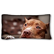 Amazon.com: pit bull bedding