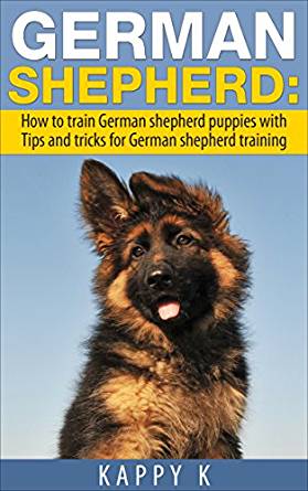 German Shepherd Training: How to Train German Shepherd ...