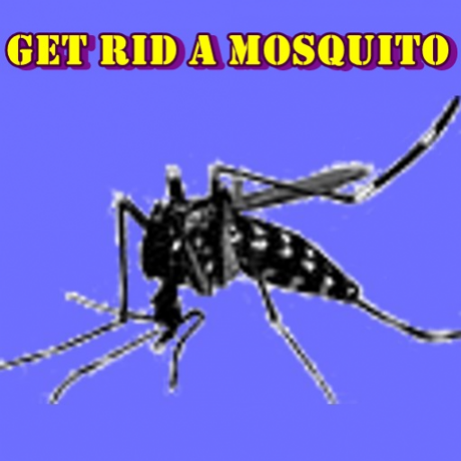 Amazon.com: Get Rid a Mosquito: Appstore for Android