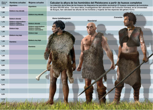 Who would win a fight between a Neanderthal and Human ...