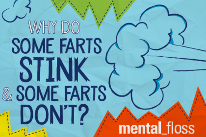 Why Do Some Farts Stink and Some Farts Don't? | Mental Floss
