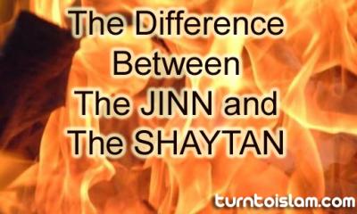 The Difference Between The Jinn and The Shaytan » Salamyou ...