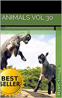 Animals vol 30: Related:animal, pet, animals, pets, dog ...