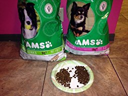 IAMS PROACTIVE HEALTH Adult MiniChunks Dry Dog Food 30 ...